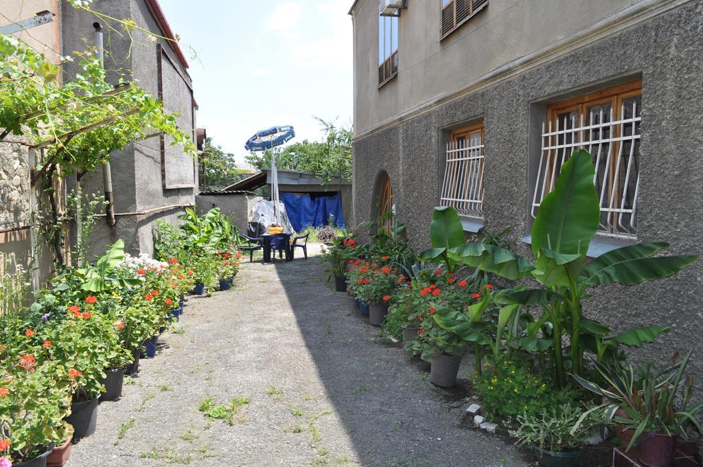 Guest House Cico Telavi Ngoại thất bức ảnh